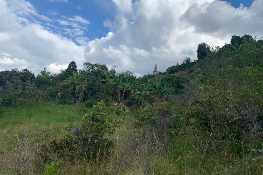 Photo of Others in Raquira