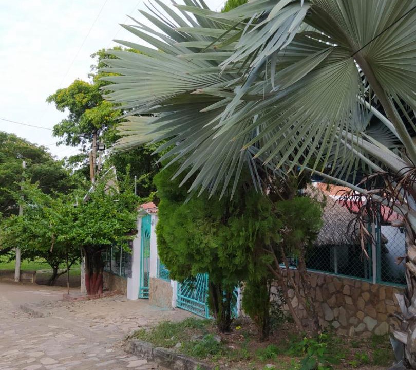 Photo of Others in Guataqui