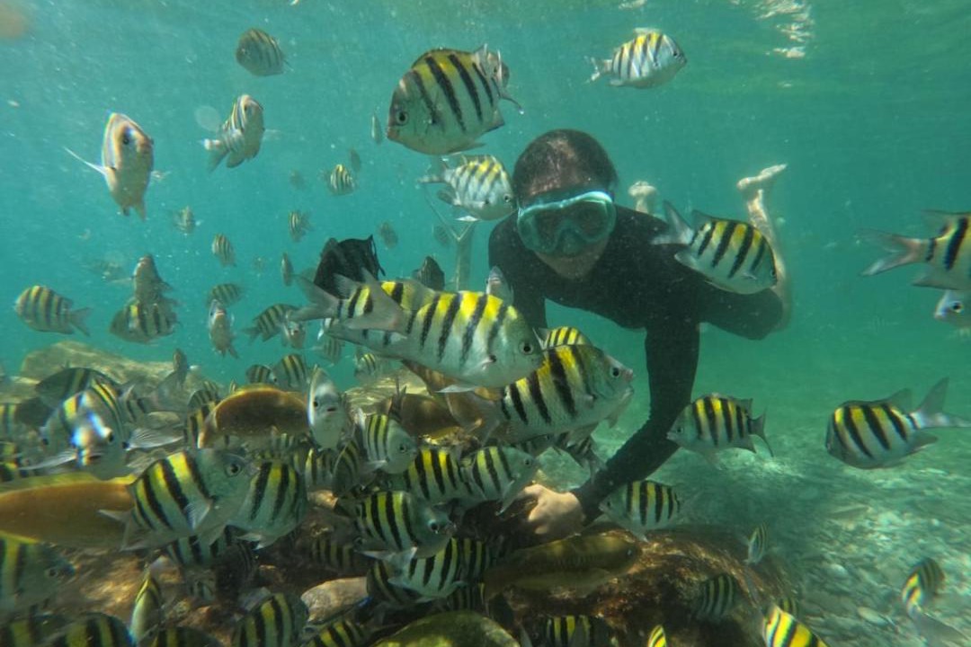 Photo of Others in Taganga