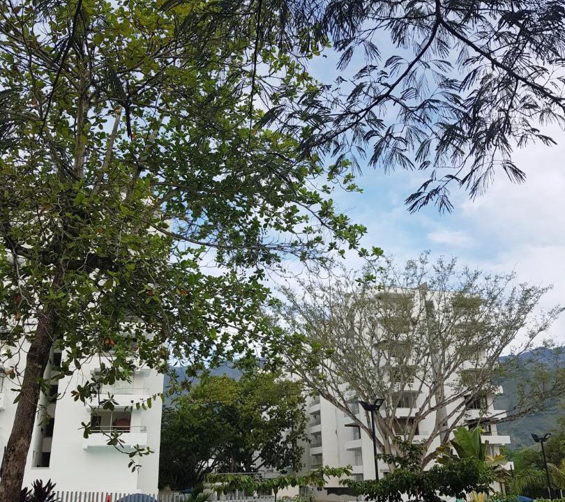 Photo of Others in San Jeronimo