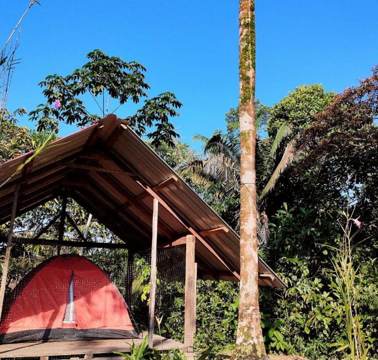 Photo of Others in Uramba National Park