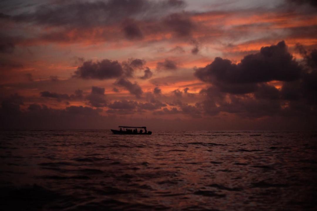 Photo of Others in Bocachica