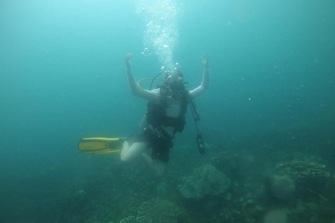 Photo of Others in Bocachica
