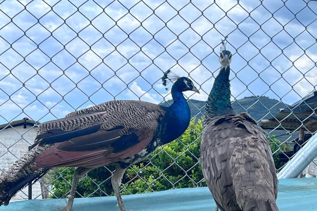 Photo of Others in Yotoco