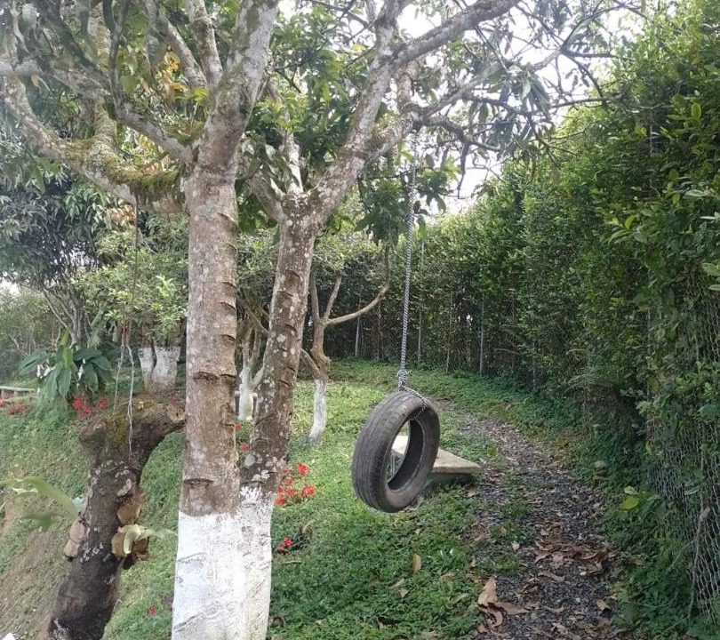 Photo of Others in Alegrias