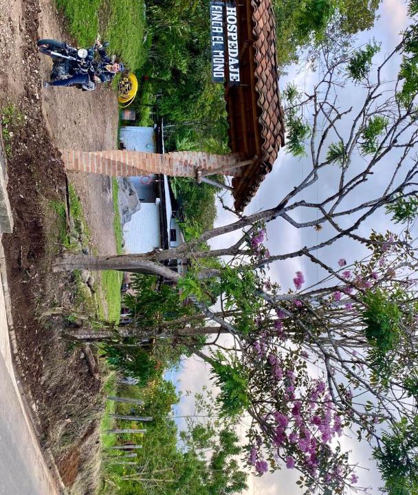 Photo of Others in San Agustin