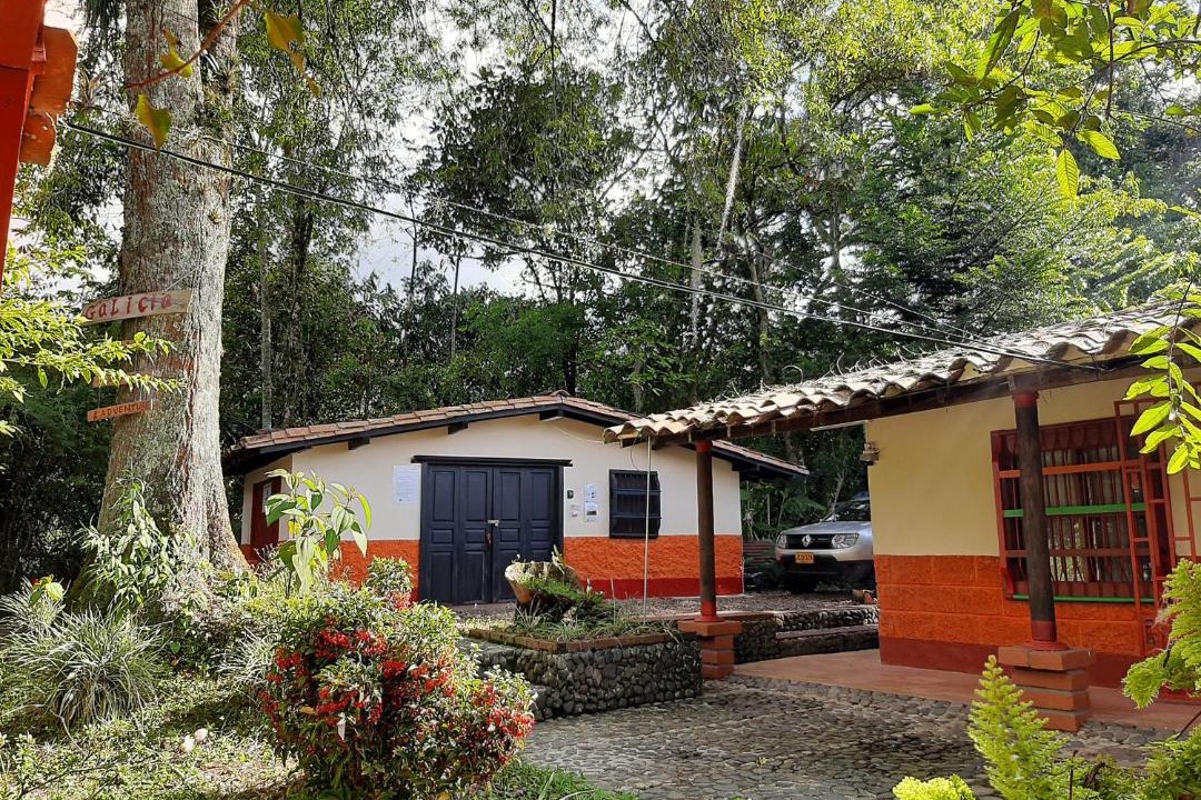 Photo of Others in Jardin