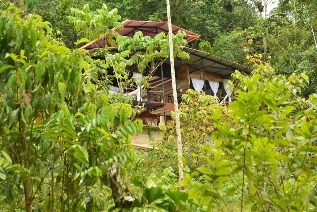 Photo of Others in Villagarzon