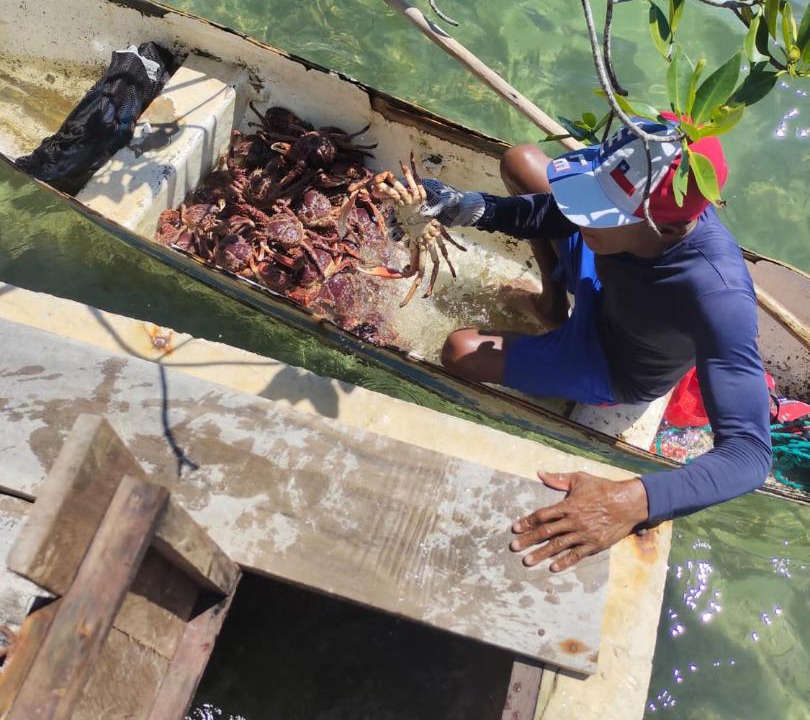 Photo of Others in Isla Tintipan
