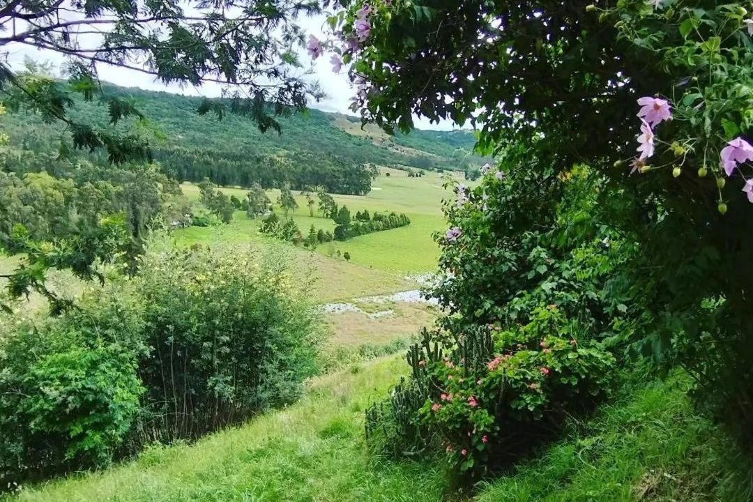 Photo of Others in Suesca