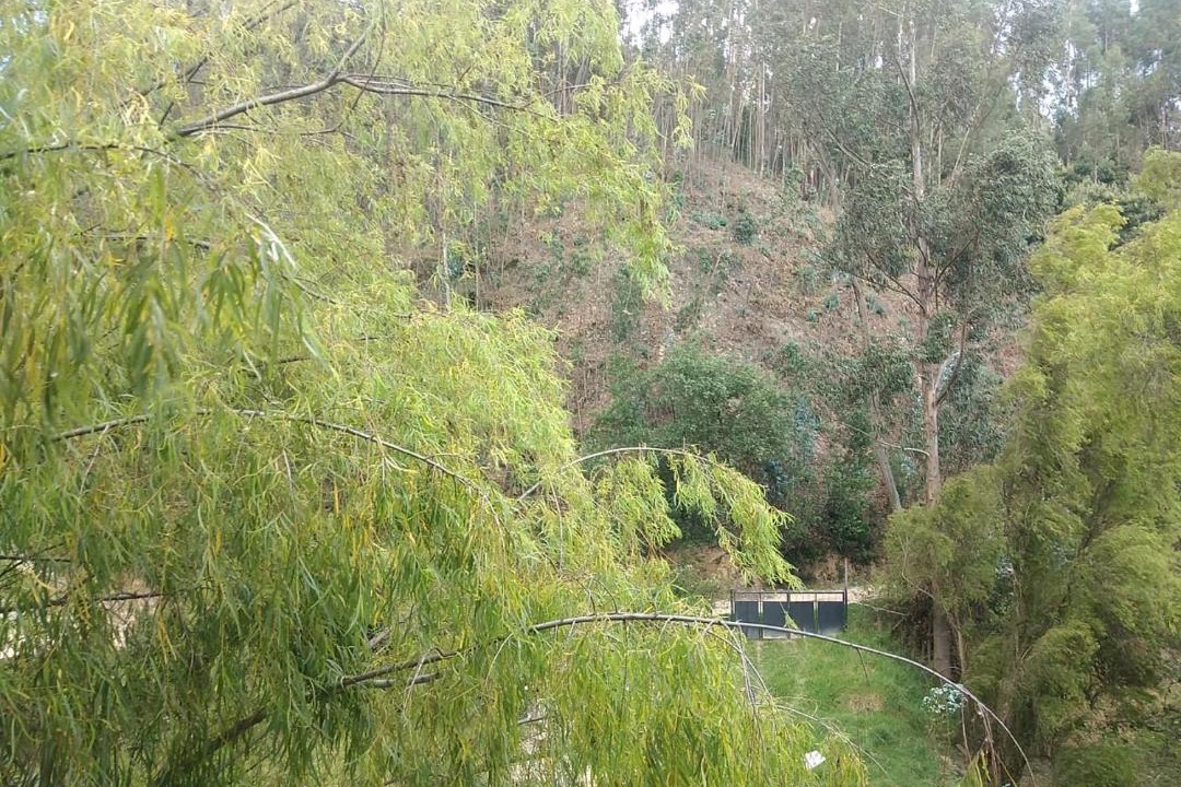 Photo of Others in Duitama