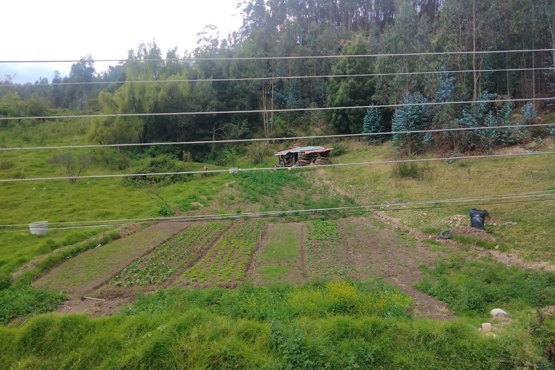 Photo of Others in Duitama