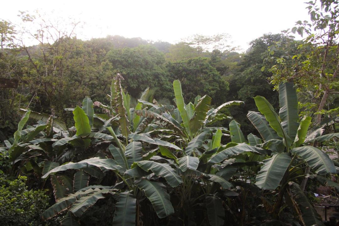 Photo of Others in Bahia Solano