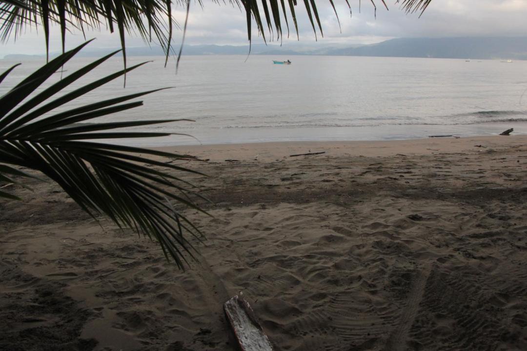 Photo of Others in Bahia Solano