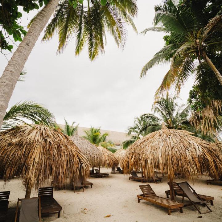 Photo of Others in Palomino