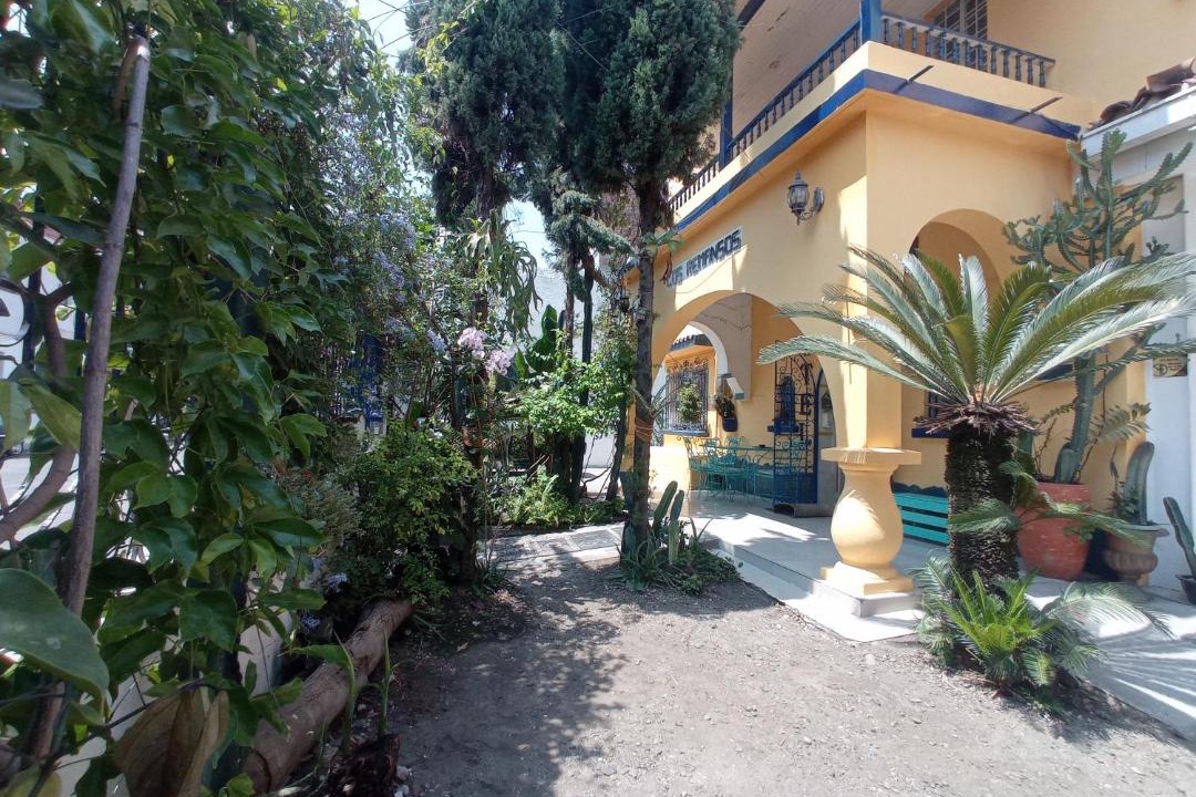 Photo of Others in Palmira