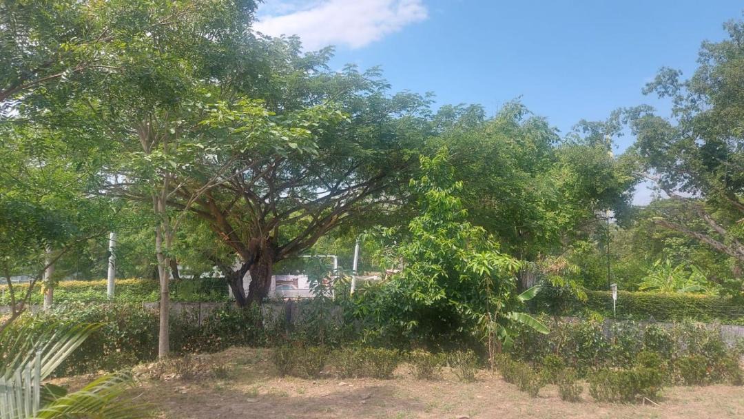 Photo of Others in Melgar