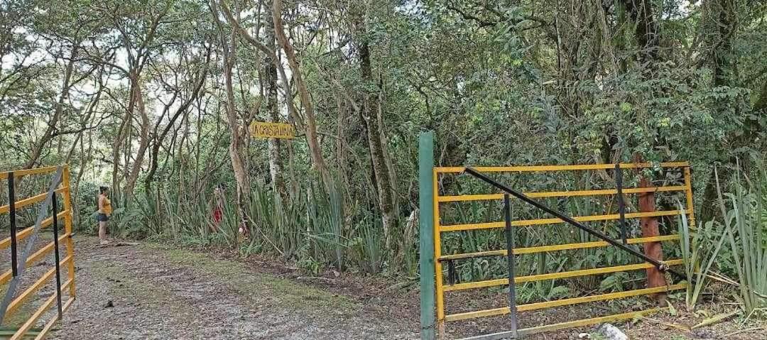 Photo of Others in Moniquira