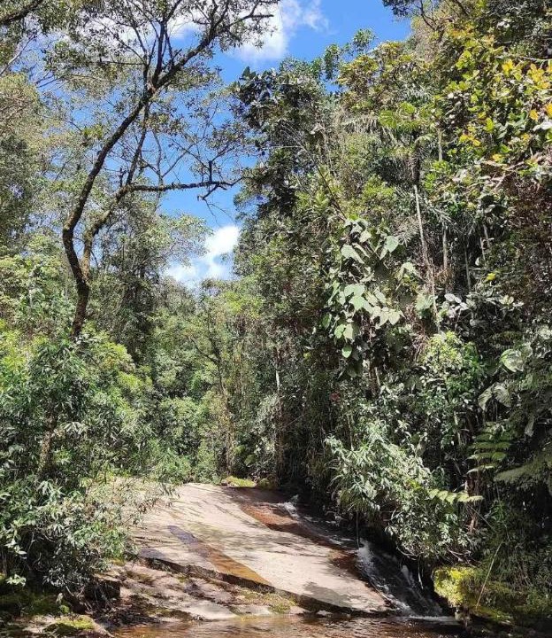 Photo of Others in Moniquira