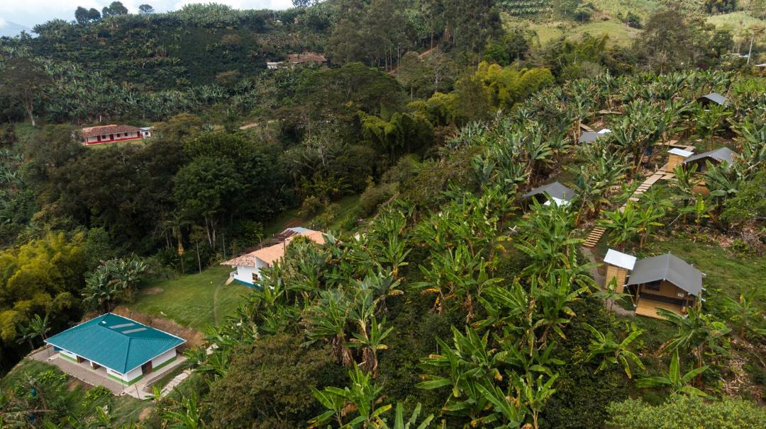 Photo of Others in Jardin