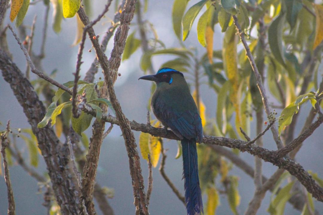 Photo of Others in Guarne