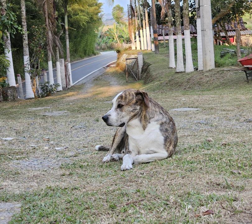 Photo of Others in Filandia