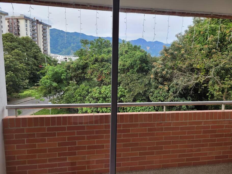 Photo of Others in Ibague
