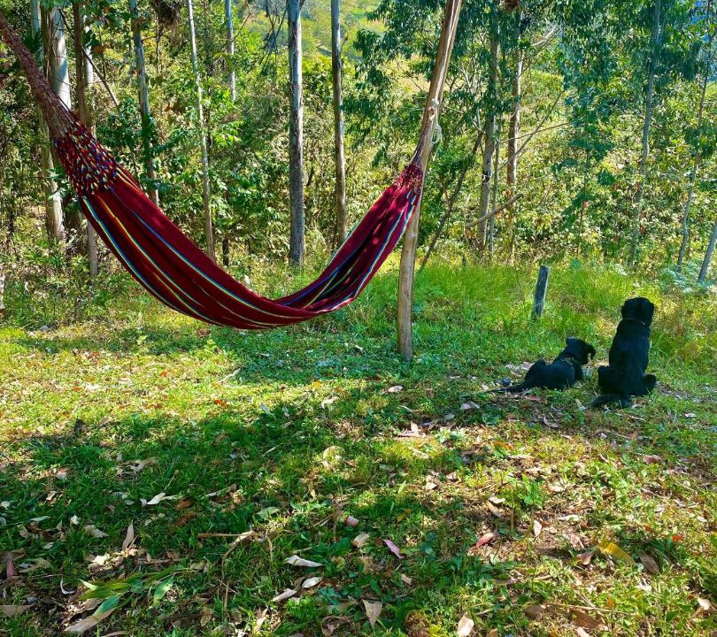 Photo of Others in Gachala