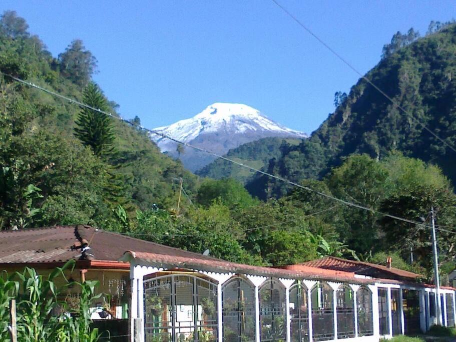Photo of Others in Ibague