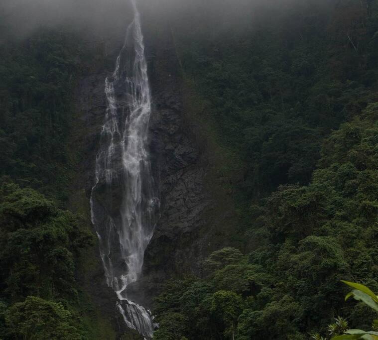 Photo of Others in Ibague