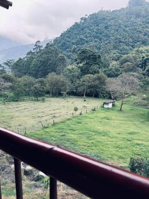 Photo of Others in Ibague