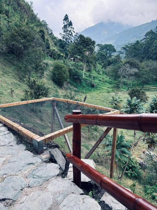 Photo of Others in Ibague