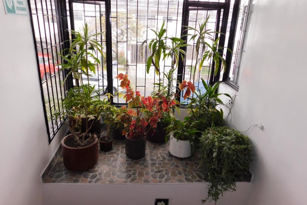 Photo of Others in Quinta Paredes