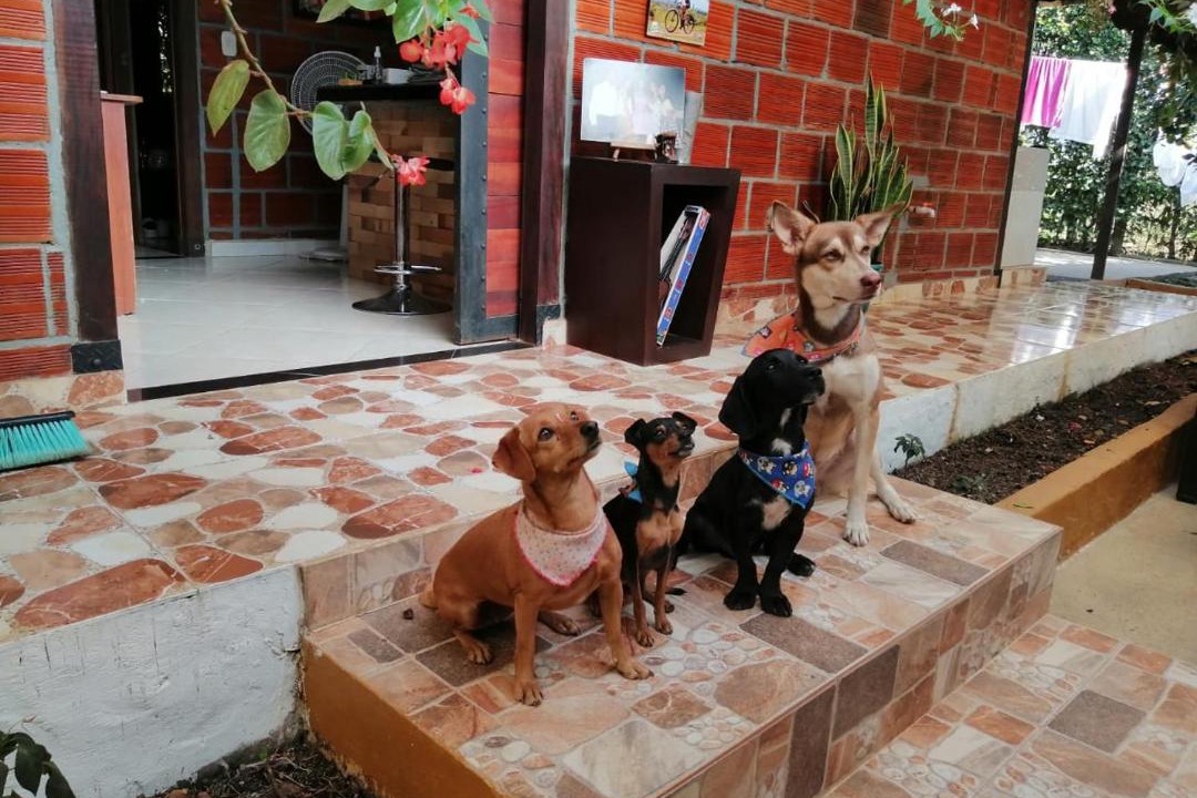 Photo of Others in Puerto Concordia
