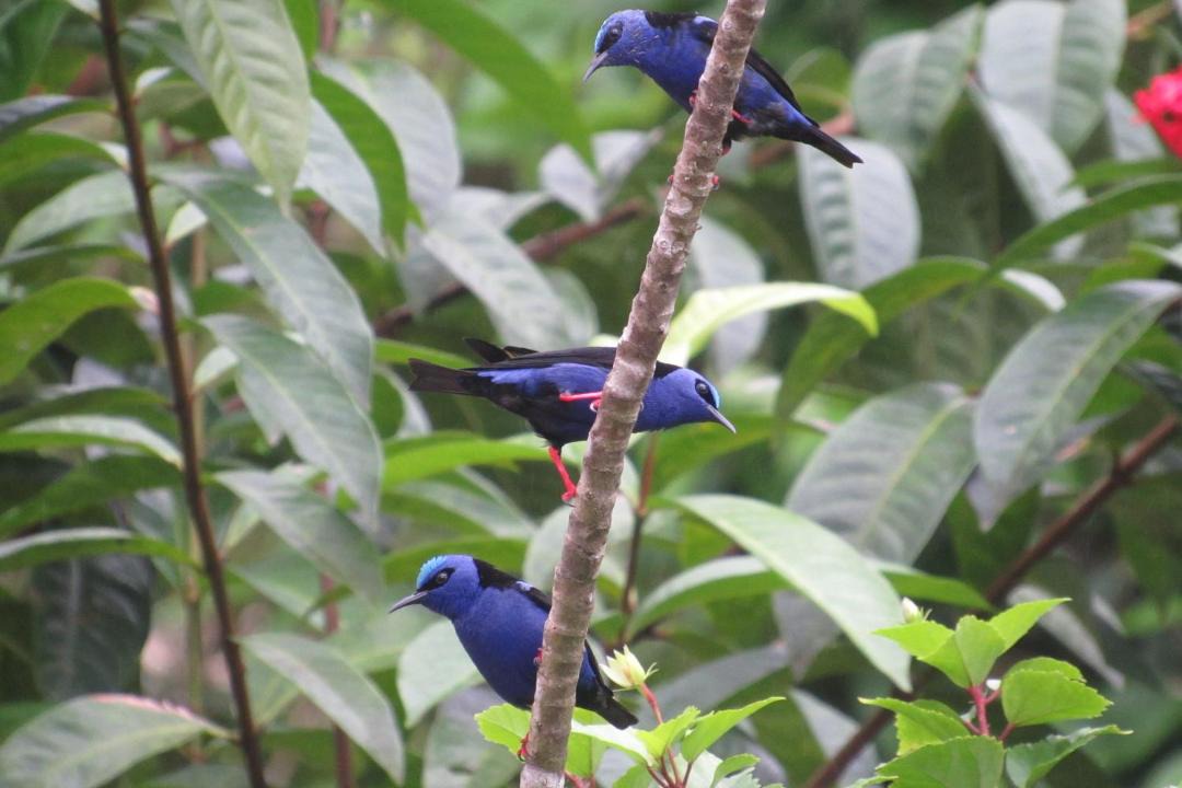 Photo of Others in El Valle