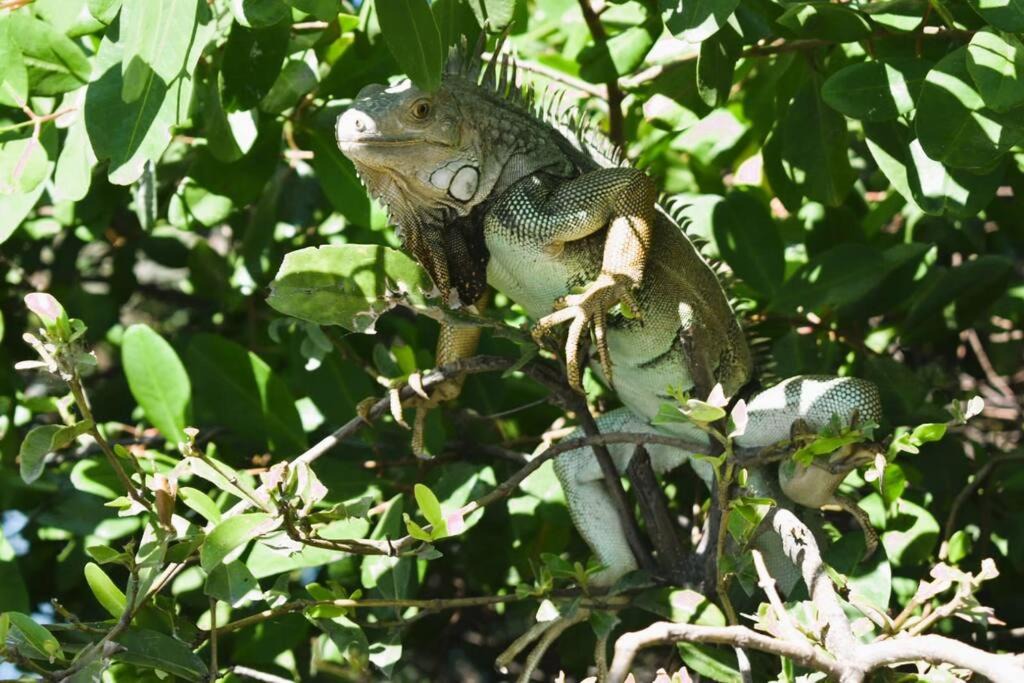 Photo of Others in Pozos Colorados
