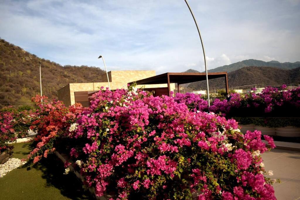 Photo of Others in Pozos Colorados