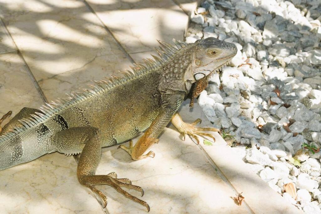 Photo of Others in Pozos Colorados