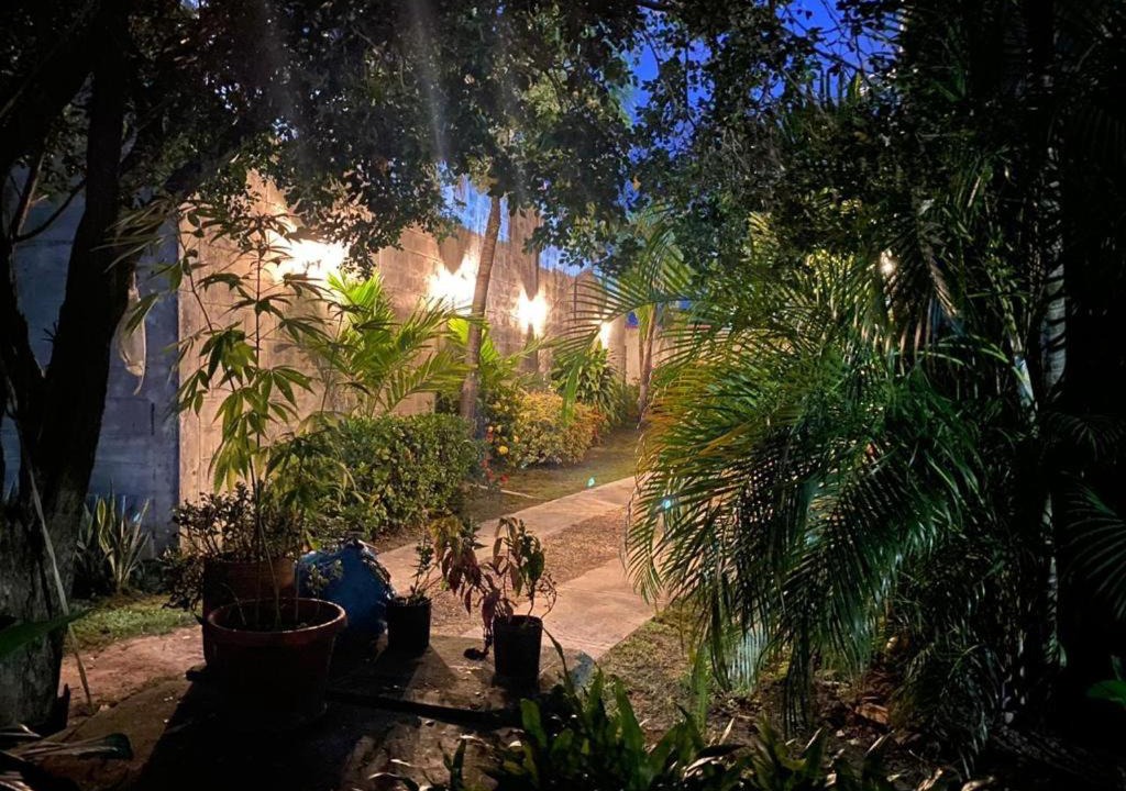 Photo of Others in Aguachica