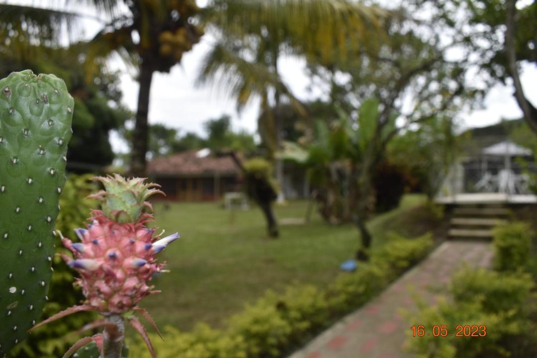 Photo of Others in Bugalagrande