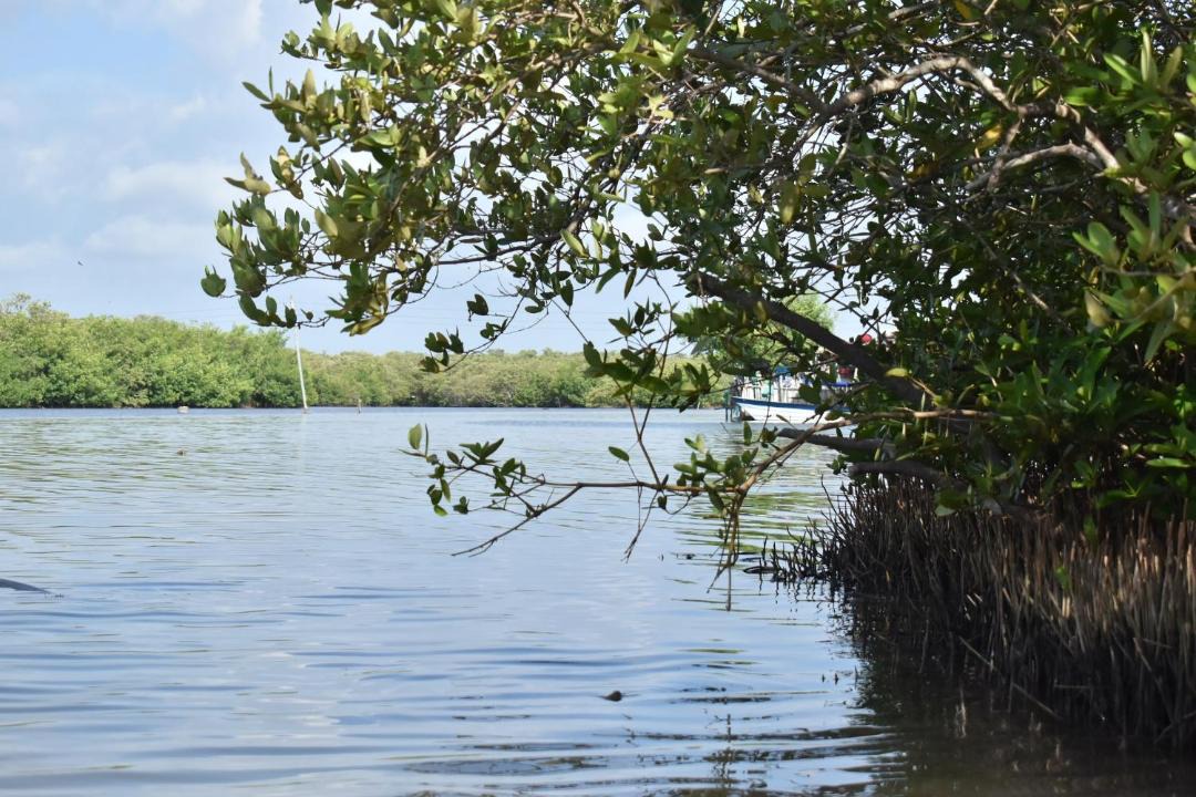 Photo of Others in Rincon