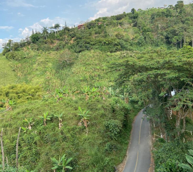 Photo of Others in Manizales