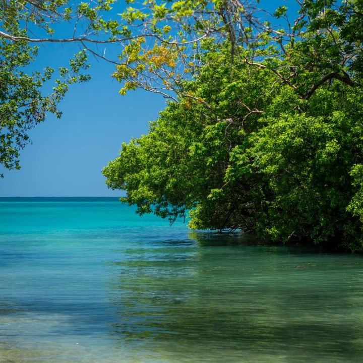 Photo of Others in Rosario Islands