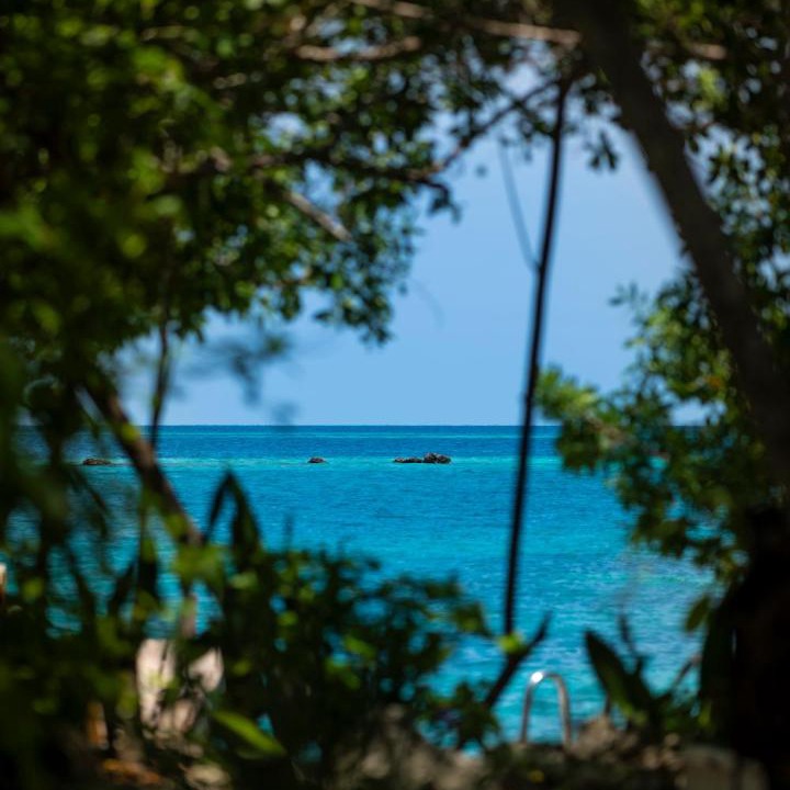 Photo of Others in Rosario Islands