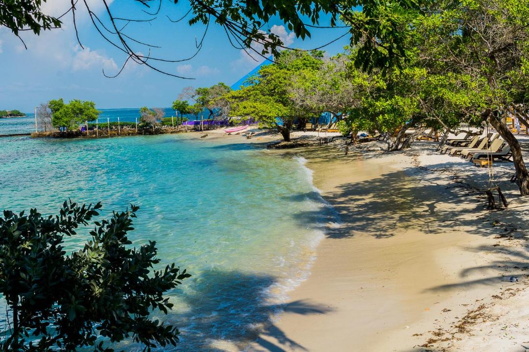 Photo of Others in Rosario Islands