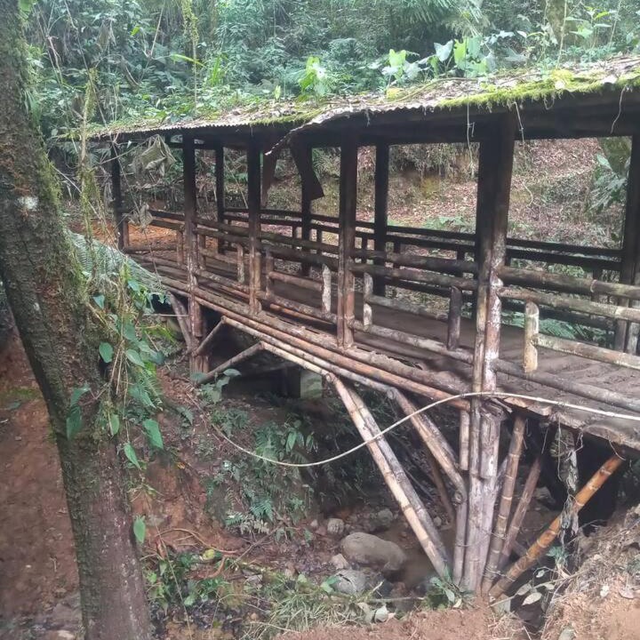 Photo of Others in Pacora