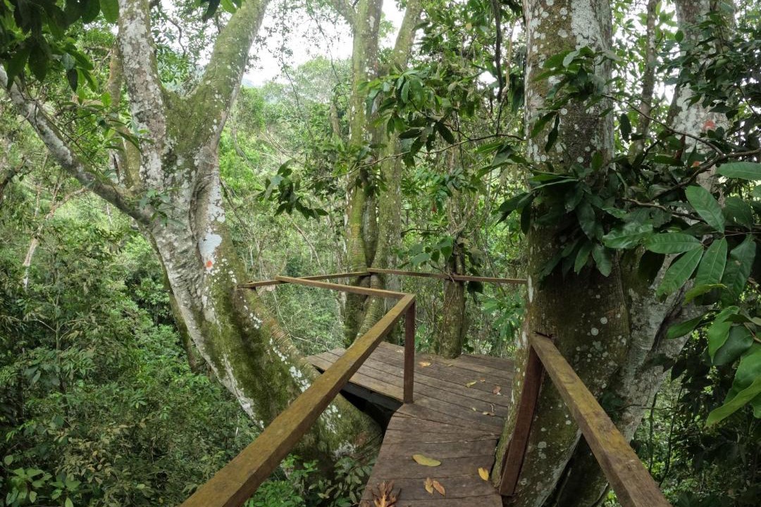 Photo of Others in Santa Marta