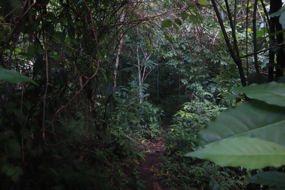 Photo of Others in Santa Marta