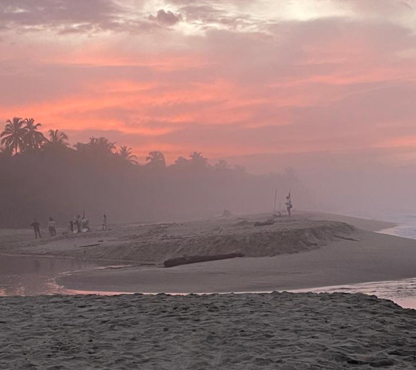 Photo of Others in Palomino