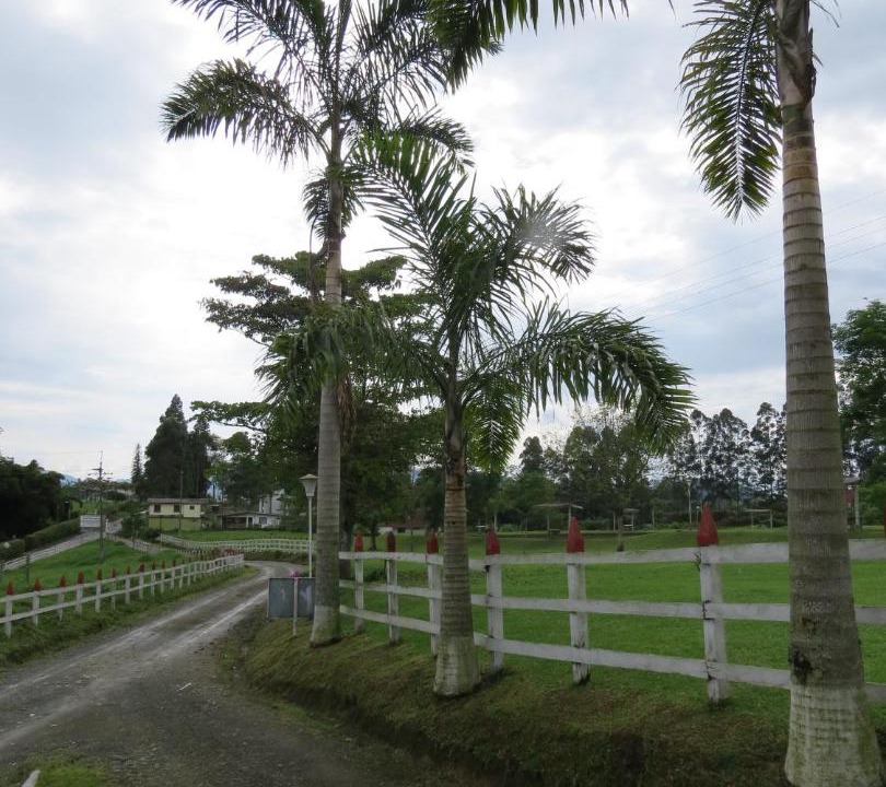 Photo of Others in Santa Rosa de Cabal